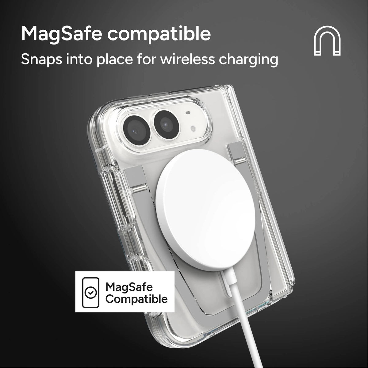 Crystal Palace Snap for MagSafe Case with Stand DUO